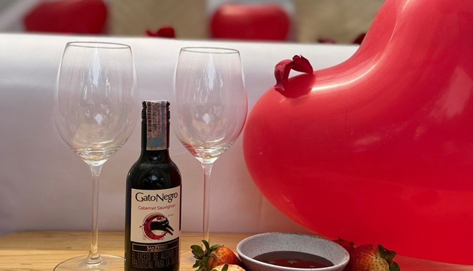 Planes Especiales - Santuario Luxury Eco Hotel - Villeta, Cundinamarca - image - 6